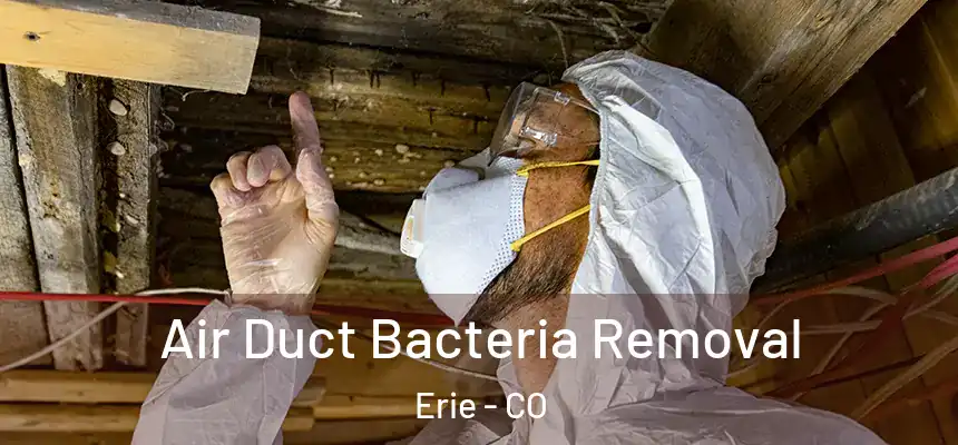 Air Duct Bacteria Removal Erie - CO