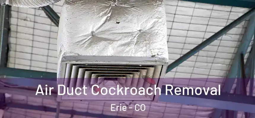  Air Duct Cockroach Removal Erie - CO