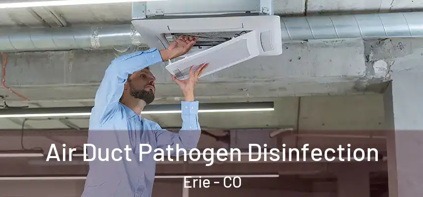 Air Duct Pathogen Disinfection Erie - CO