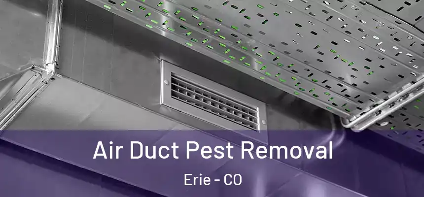 Air Duct Pest Removal Erie - CO