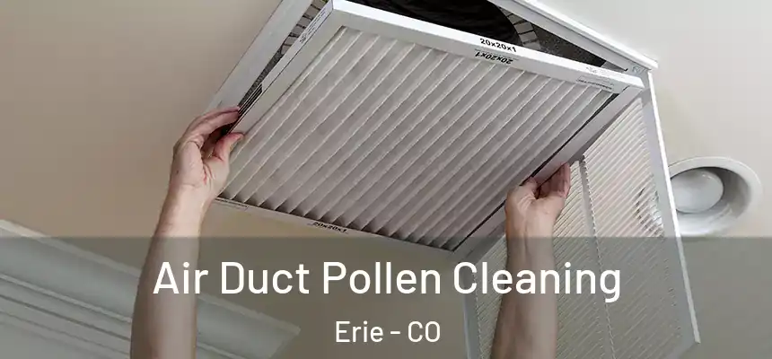 Air Duct Pollen Cleaning Erie - CO