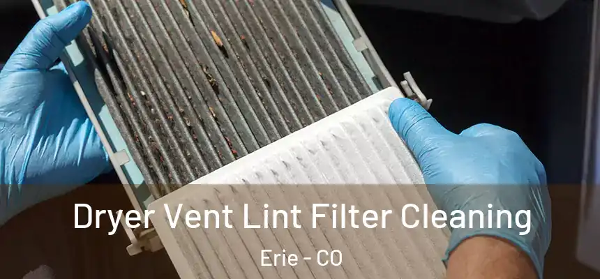  Dryer Vent Lint Filter Cleaning Erie - CO