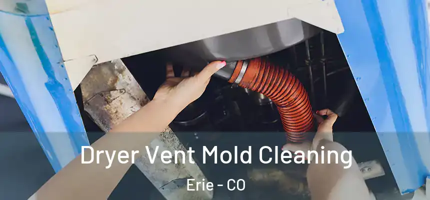  Dryer Vent Mold Cleaning Erie - CO