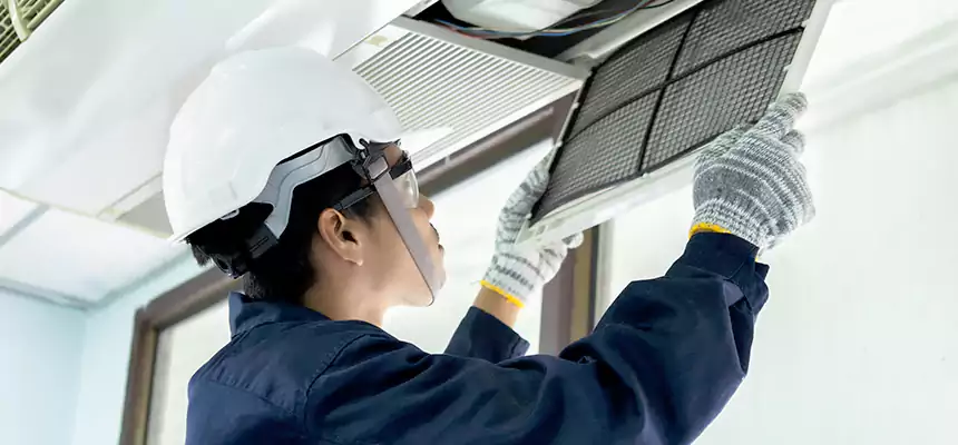 Our Mold & Mildew Removal from Air Ducts Services in Erie, CO