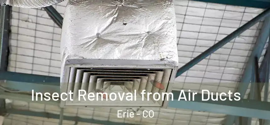  Insect Removal from Air Ducts Erie - CO