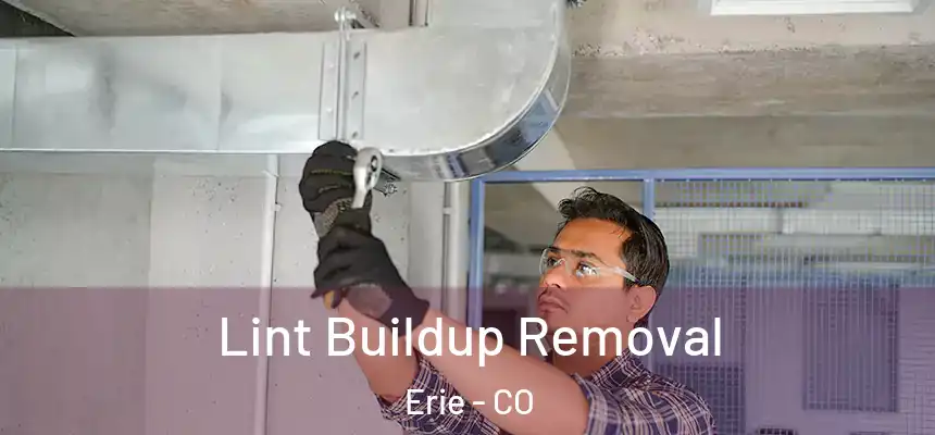  Lint Buildup Removal Erie - CO