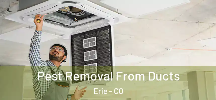  Pest Removal From Ducts Erie - CO