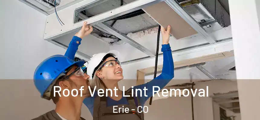 Roof Vent Lint Removal Erie - CO