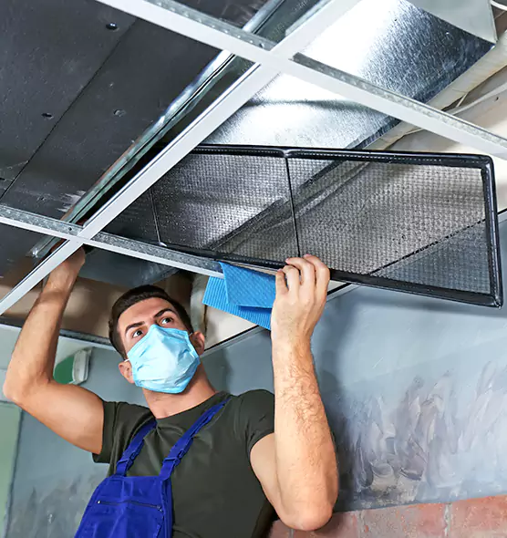 About Air Duct Bacteria Removal in Erie