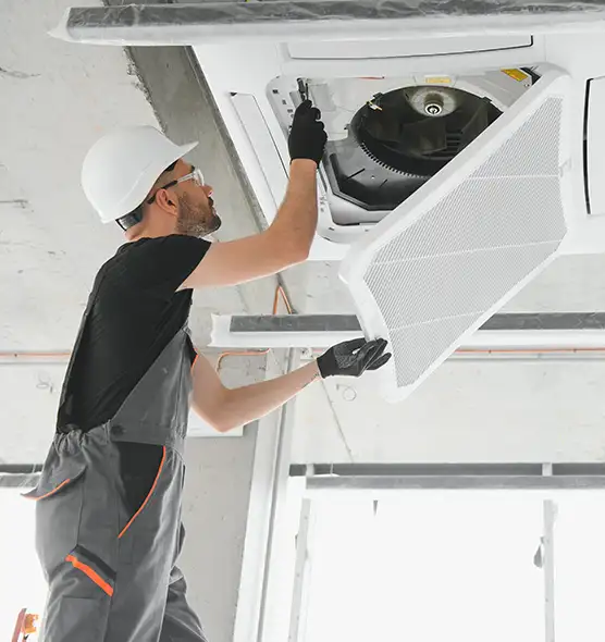 About Air Duct Rodent Removal in Erie, CO