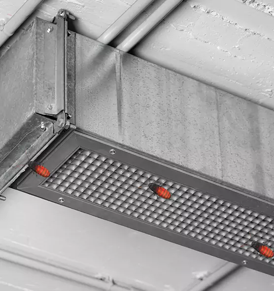 Affordable Insect Removal from Air Ducts in Erie, CO