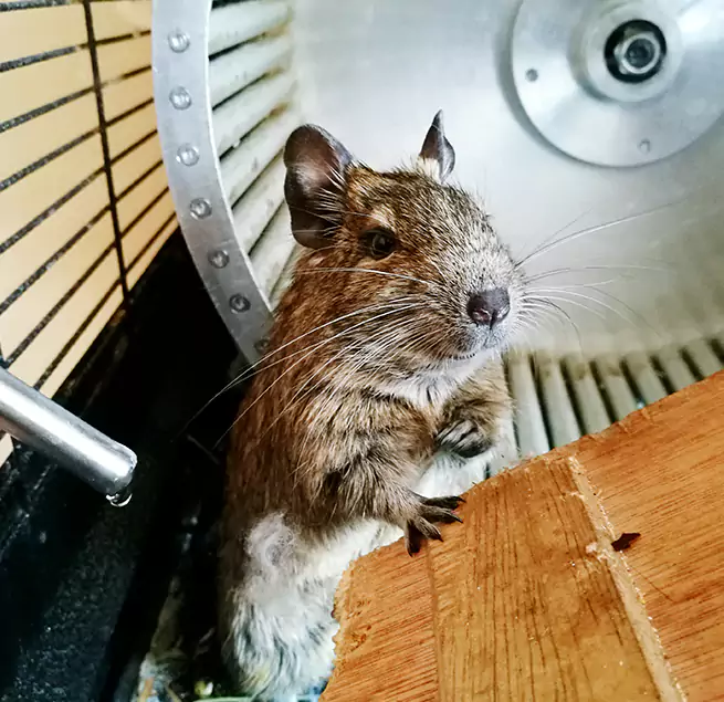 Why Homeowners & Businesses Trust Us Erie, CO?