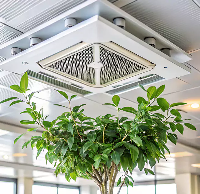 Why Homeowners & Businesses Trust Us in Erie, CO?