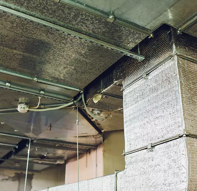 Why Homeowners & Businesses Trust Us in Erie, CO?